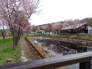 6日目　鏡橋からの景色